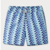Staniel Swim Trunk - Too Cool for School