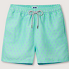 Staniel Swim Trunk - Palm Days