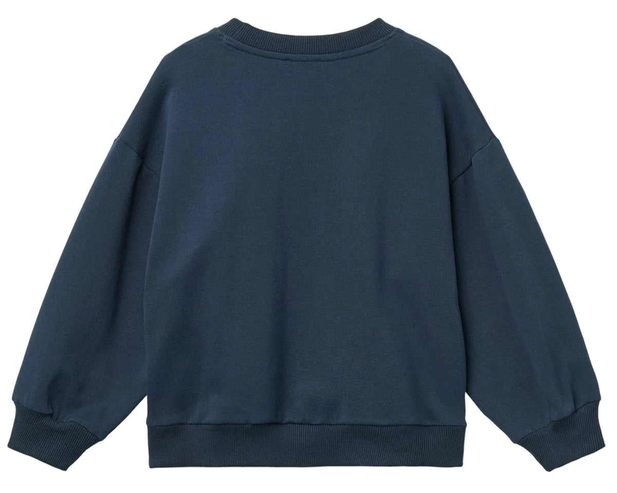 Baby Boys’ and Boys’ Classic Sweatshirt by Copenhagen Colors in navy blue, shown from the back with round neck, long sleeves, ribbed cuffs, and waistband.