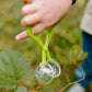 A child’s hand, dressed in the Great Pretenders Forest Guardian Set with Accessories, uses green plastic tweezers to pick up a transparent object near green leaves outdoors.