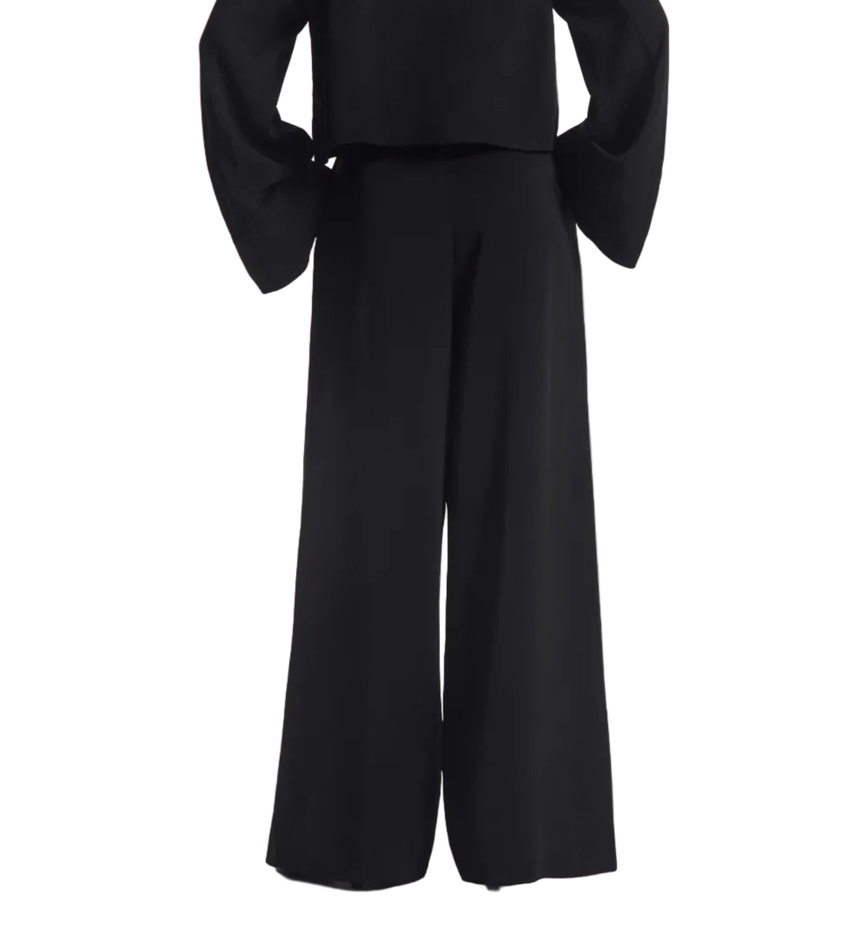 A person wearing the CO Wide Leg Crepe Pant and a black long-sleeve top, standing against a white background.