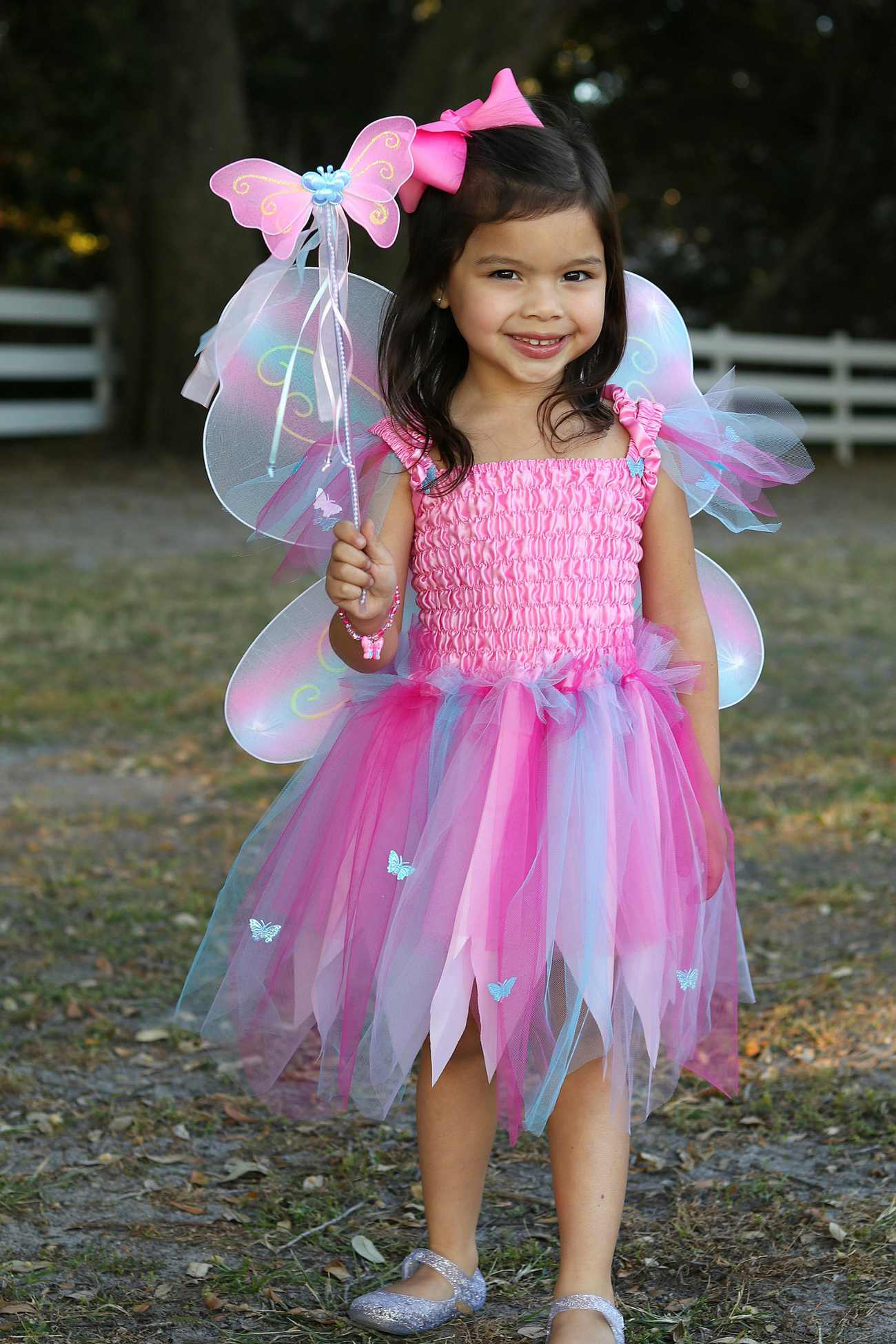 A girl in a Great Pretenders Butterfly Dress with Wings and Wand.