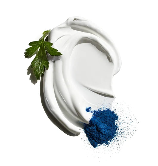 A swirl of white cream with a green parsley leaf and a small pile of blue powder on a white background, representing Jack Black’s Double-Duty Face Moisturizer—a lightweight formula enriched with antioxidants and broad-spectrum SPF 20.