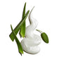 A swirl of white cream with bubbles, surrounded by fresh green aloe vera leaves and a single round green leaf, on a white background—perfect for achieving shave-ready skin with Jack Black Pure Clean Daily Facial Cleanser.