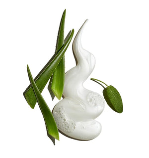 A swirl of white cream with bubbles, surrounded by fresh green aloe vera leaves and a single round green leaf, on a white background—perfect for achieving shave-ready skin with Jack Black Pure Clean Daily Facial Cleanser.