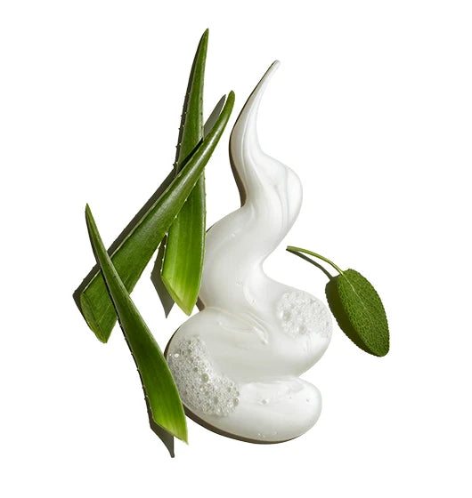 A swirl of Jack Black Pure Clean Daily Facial Cleanser, with its creamy, bubble-rich texture, is elegantly displayed alongside fresh green aloe vera leaves and a round green leaf on a white background—an ideal presentation for highlighting refreshed, shave-ready skin with a touch of soothing botanical care.