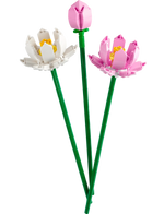 Discover the allure of LEGO® Lotus Flowers by Legos - Toyhouse, showcasing three stunning blooms: a white open blossom, a vibrant pink flower, and an elegant pink bud on green stems. Ideal for fans of buildable LEGO flower sets!.