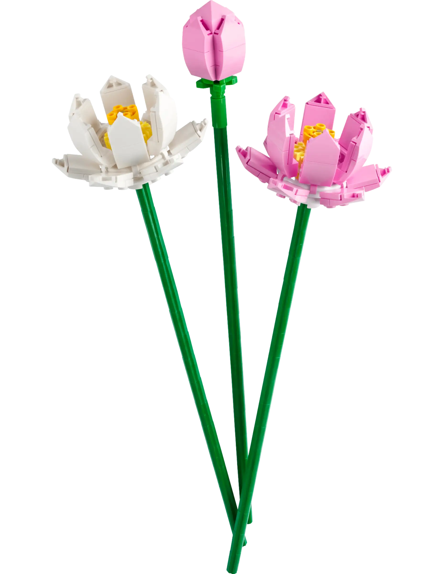 Discover the allure of LEGO® Lotus Flowers by Legos - Toyhouse, showcasing three stunning blooms: a white open blossom, a vibrant pink flower, and an elegant pink bud on green stems. Ideal for fans of buildable LEGO flower sets!.