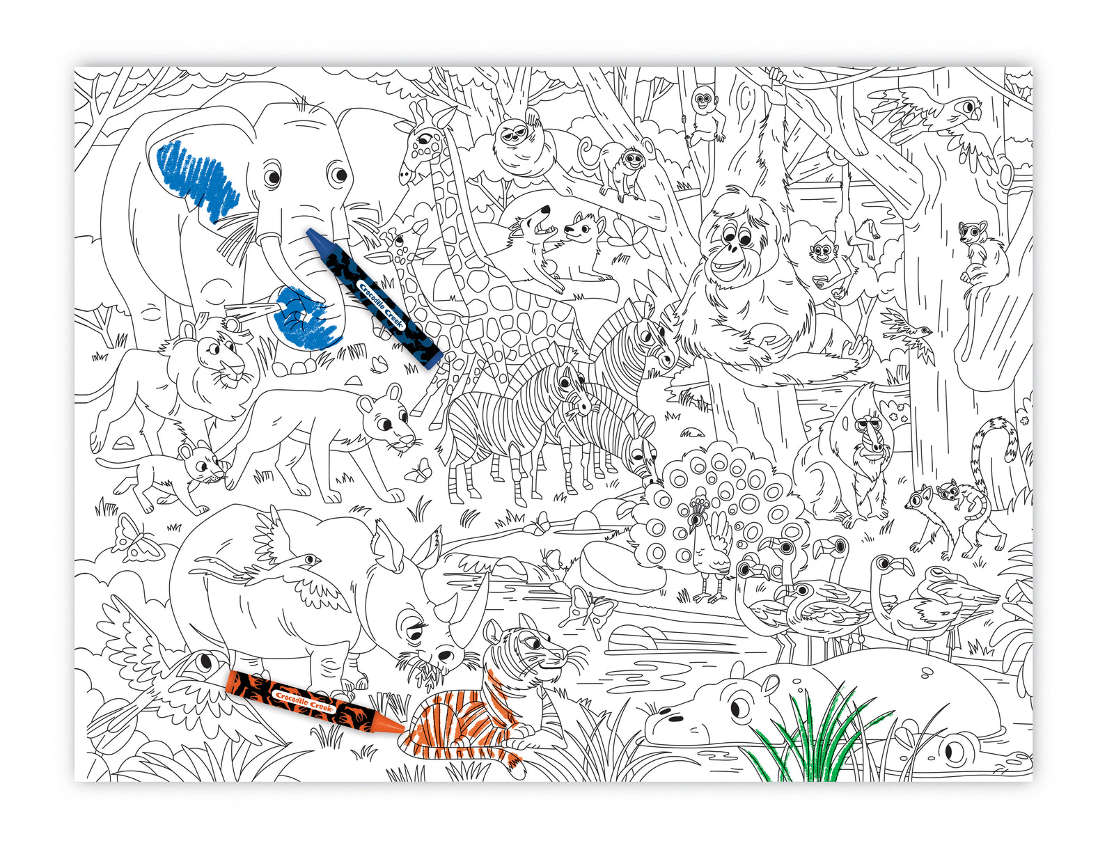 Black and white animal coloring sheet partially colored with blue and orange crayon from a Crocodile Creek Coloring Poster. Kid-safe crayons rest on top of the sheet.