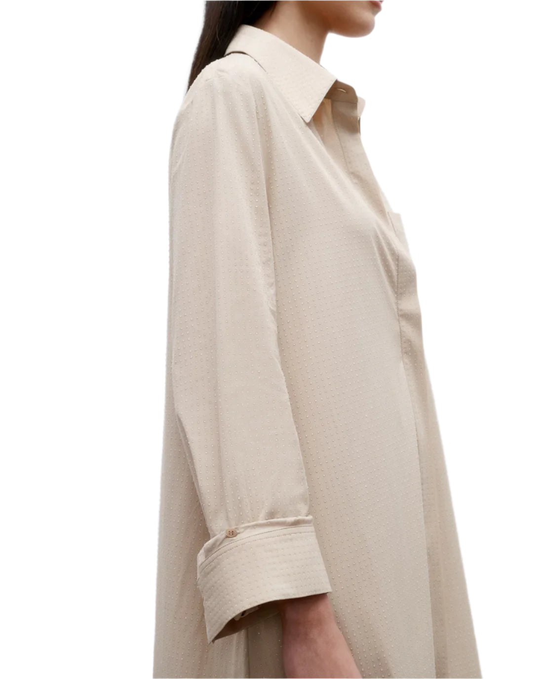 A woman wears TWP's Jenny's Crystal Gown, an oversized maxi shirt dress with cuffed long sleeves and a collar, shown in profile against a white background.