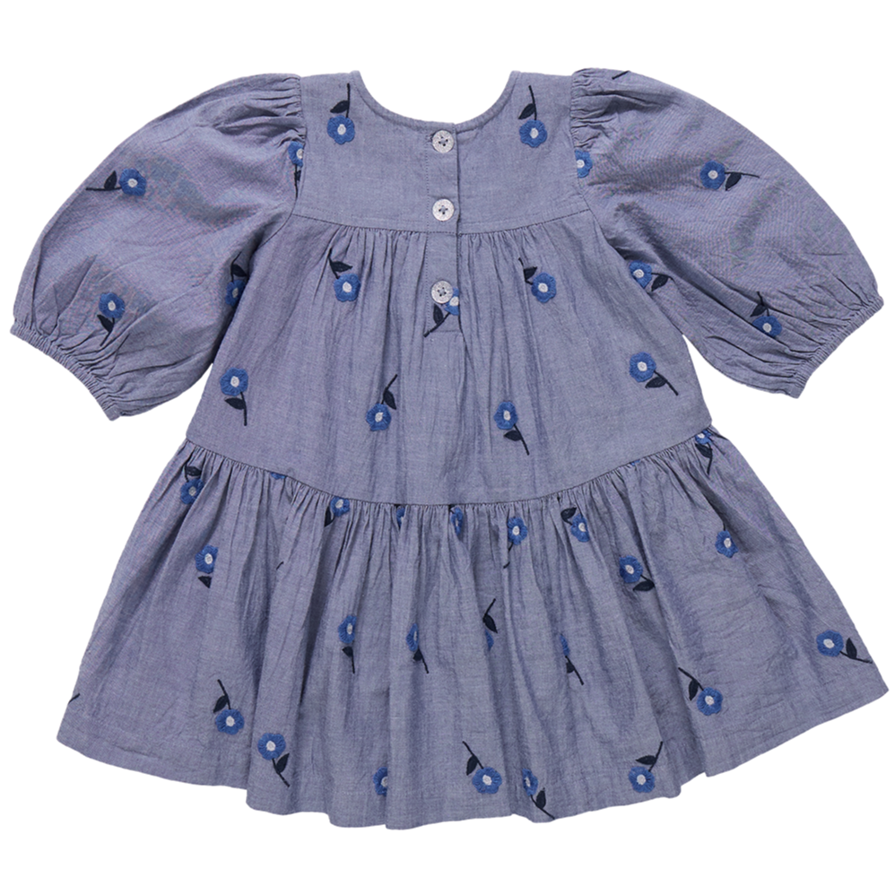The Pink Chicken Girls' Fiona Dress features long sleeves, a gathered skirt, Blue Blossom Embroidery, and three front buttons in light blue.
