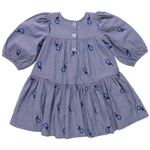 The Pink Chicken Girls' Fiona Dress features long sleeves, a gathered skirt, Blue Blossom Embroidery, and three front buttons in light blue.