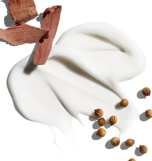 A smear of white cream, identified as Jack Black Black Reserve Hydrating Body Lotion and enriched with nourishing Shea Butter, is displayed on a white background, accompanied by several brown seeds and pieces of light brown wood.