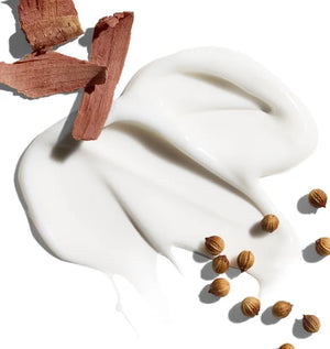 A smear of white cream, identified as Jack Black Black Reserve Hydrating Body Lotion and enriched with nourishing Shea Butter, is displayed on a white background, accompanied by several brown seeds and pieces of light brown wood.