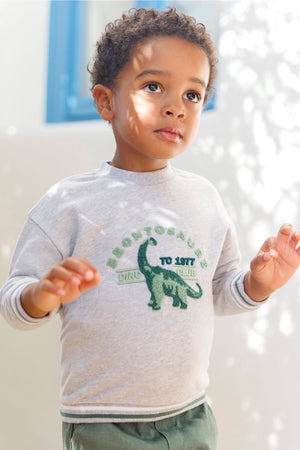 A young child stands outdoors in soft sunlight wearing the Tartine et Chocolat Baby Boys’ and Boys’ Dinosaur Sweatshirt in grey heather, crafted from 100% cotton and adorned with a playful dinosaur illustration and text.