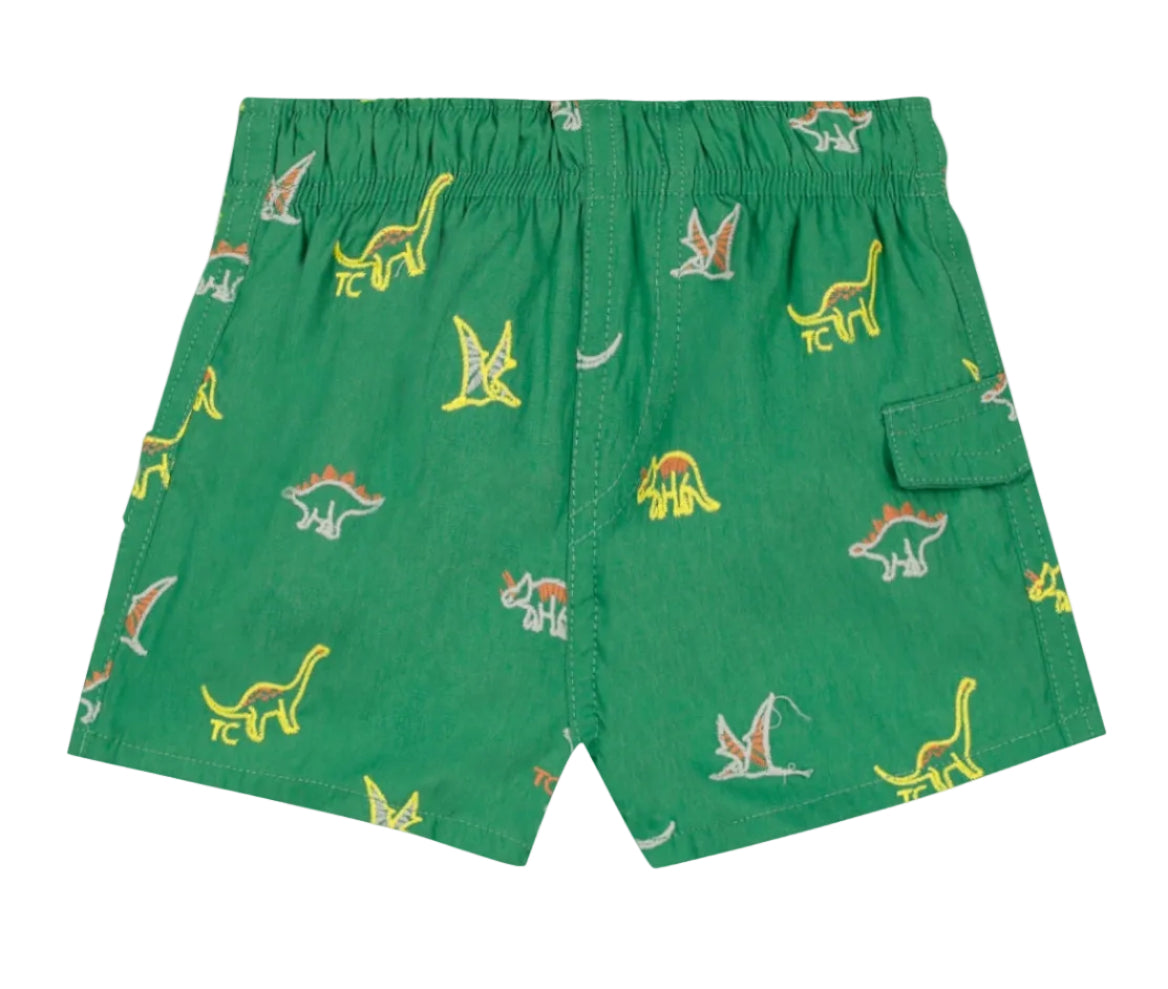 Sure! Here’s your rewritten sentence using the provided product data: The Tartine et Chocolat Baby Boys’ and Boys’ Swim Short features a vibrant green color, an elasticated waistband, and playful multicolored dinosaur patterns—including Stegosaurus, Triceratops, and Pterodactyl—making it perfect for fun beach days. Designed with a convenient small side pocket on the right.