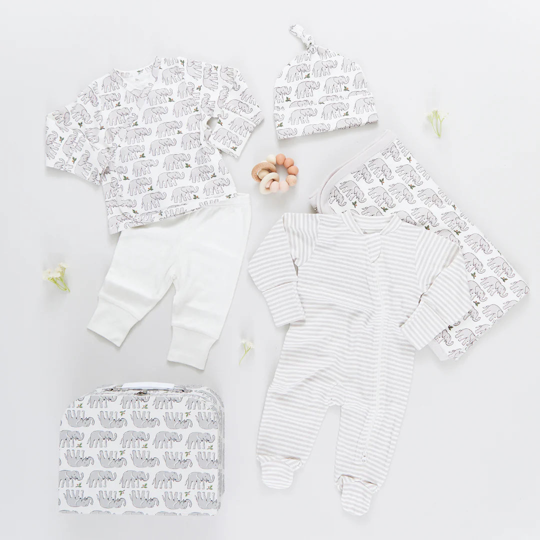 The Nesting Box Baby Take Home Set by Pink Chicken features two outfits, a hat, blanket, zippered bag, and teether in animal and stripe patterns—all made from soft organic pima cotton for the perfect neutral newborn gift.