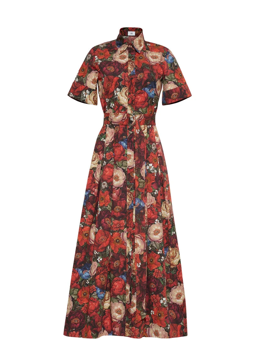 The Leighton Dress by Adam Lippes is a collared, short-sleeve, button-down cotton poplin dress with a tie waist and red floral print on a dark background.