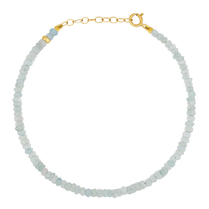 Introducing the Jia Jia Birthstone Bracelet by Jia Jia, featuring small, light blue beads and a 14 karat gold clasp with an adjustable chain.