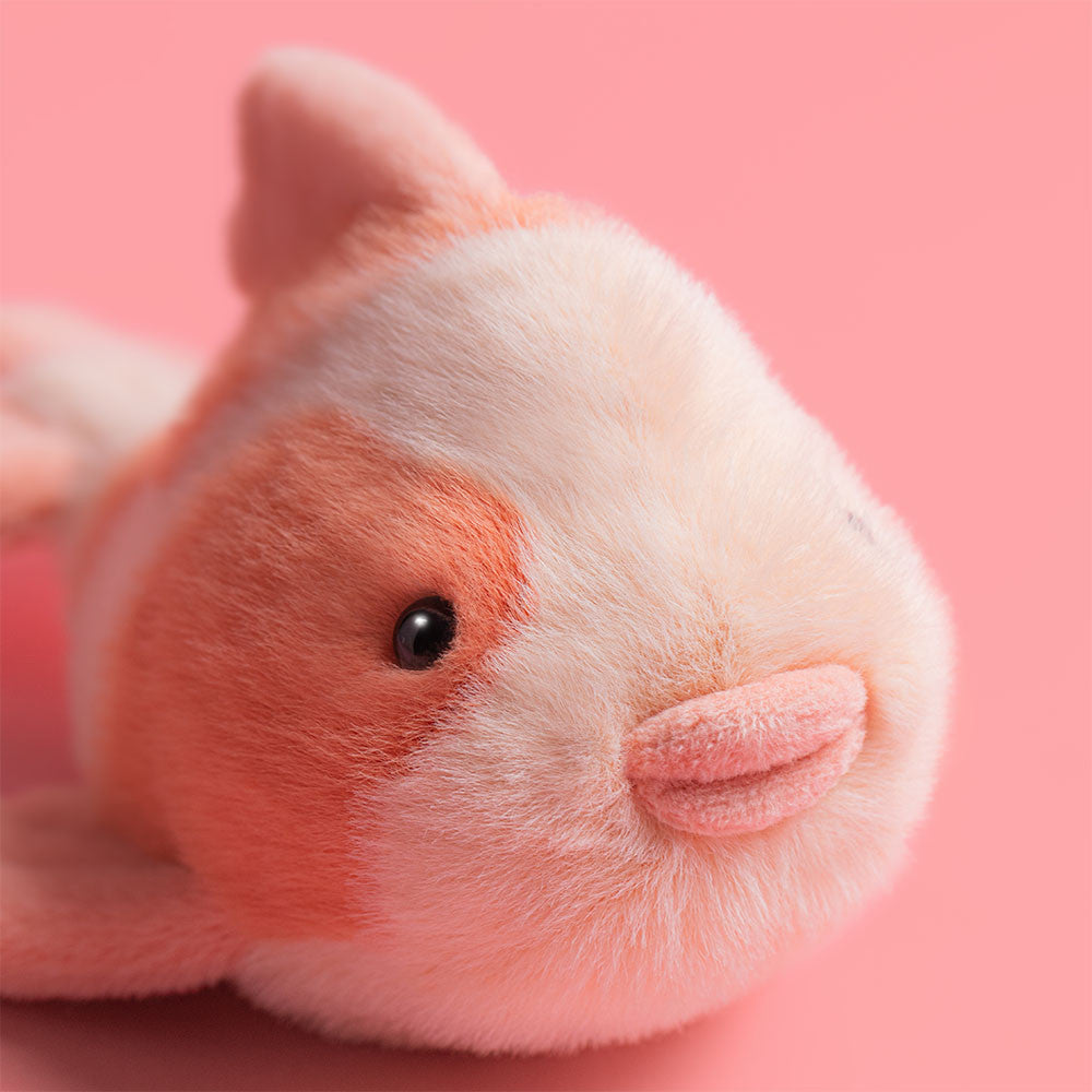 The Jellycat Fancy Carp is a plush toy with orange and white fur, black eyes, and pink lips—perfect for adding refined style to any furniture store display. Displayed against a solid pink background.