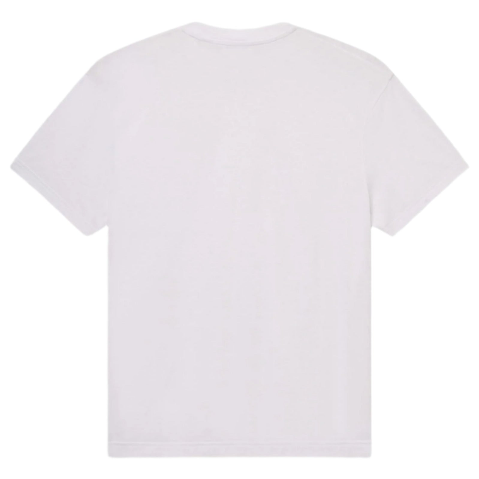 The Frame Light Cotton Tee is a plain white short-sleeve t-shirt crafted from lightweight Supima cotton, shown from the back against a white background.