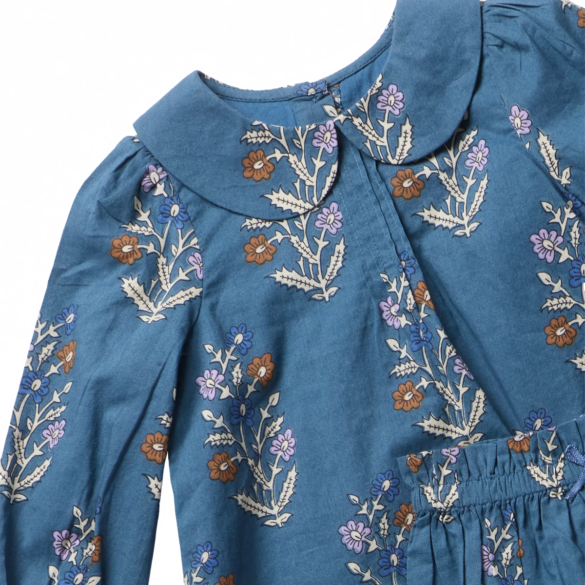 Pink Chicken Baby Girls’ Dawson 2-Piece Set: blue long-sleeve dress with Peter Pan collar and white, purple, and brown floral print.