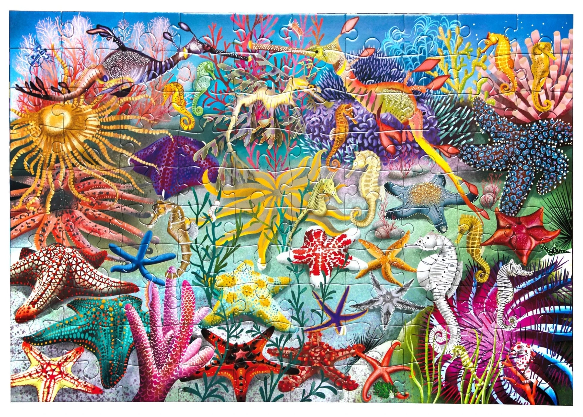Eeboo’s "Seahorses, Sea Stars & Sea Slugs" 100 Piece Puzzle features a vibrant underwater scene with seahorses, starfish, fish, corals, and sea plants—perfect for puzzle lovers who enjoy colorful marine art.