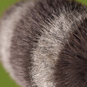 Close-up of a Jellycat Trixiwoo Raccoon plush’s furry, striped tail with dark and light bands, set against a green background.