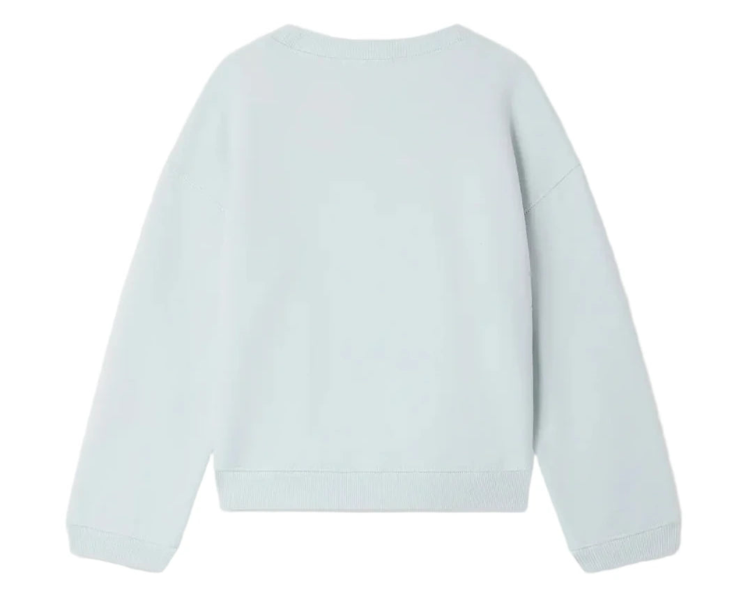 The Boys' Erol Embroidered Regatta Sweatshirt by Bonpoint, in light grey organic cotton fleece, is shown from the back against a white background.