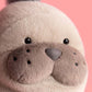 Close-up of the Jellycat Roarwell Sea Lion, a plush stuffed toy with a round face, small black eyes, and a gray nose, set against a pink background.