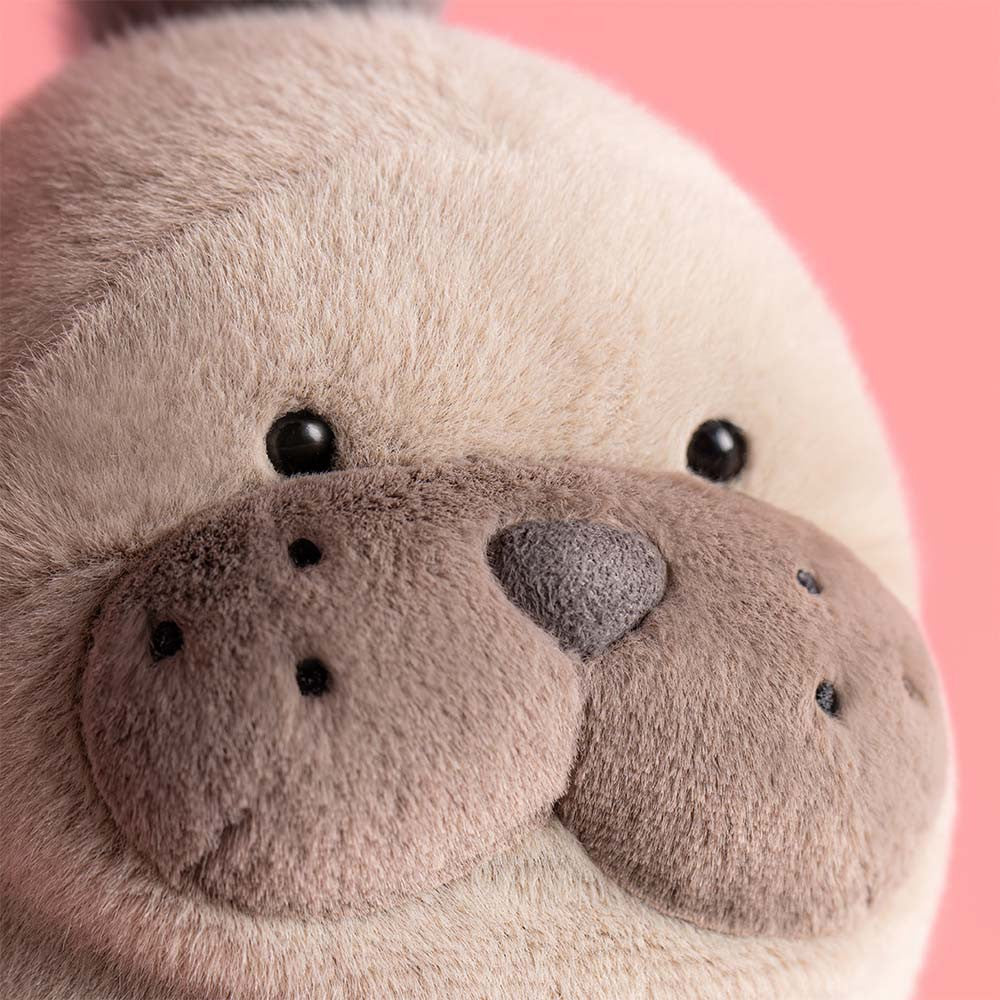 Close-up of the Jellycat Roarwell Sea Lion, a plush stuffed toy with a round face, small black eyes, and a gray nose, set against a pink background.