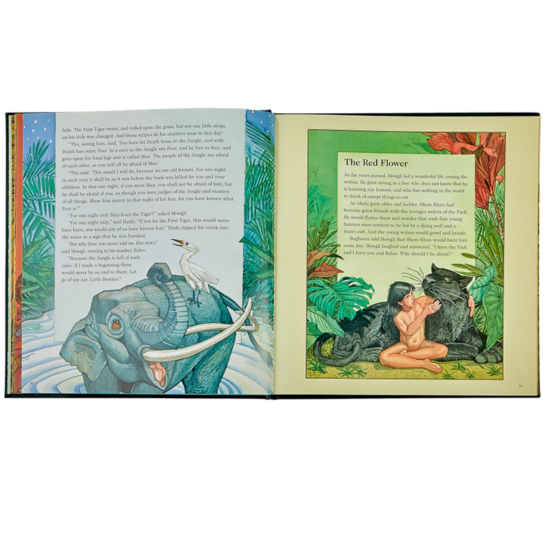 A copy of *The Jungle Book, Leather* by Graphic Image displays vivid illustrations of a jungle scene, featuring an elegantly portrayed elephant on the left page and Mowgli from Rudyard Kipling's adventures surrounded by animals on the right.