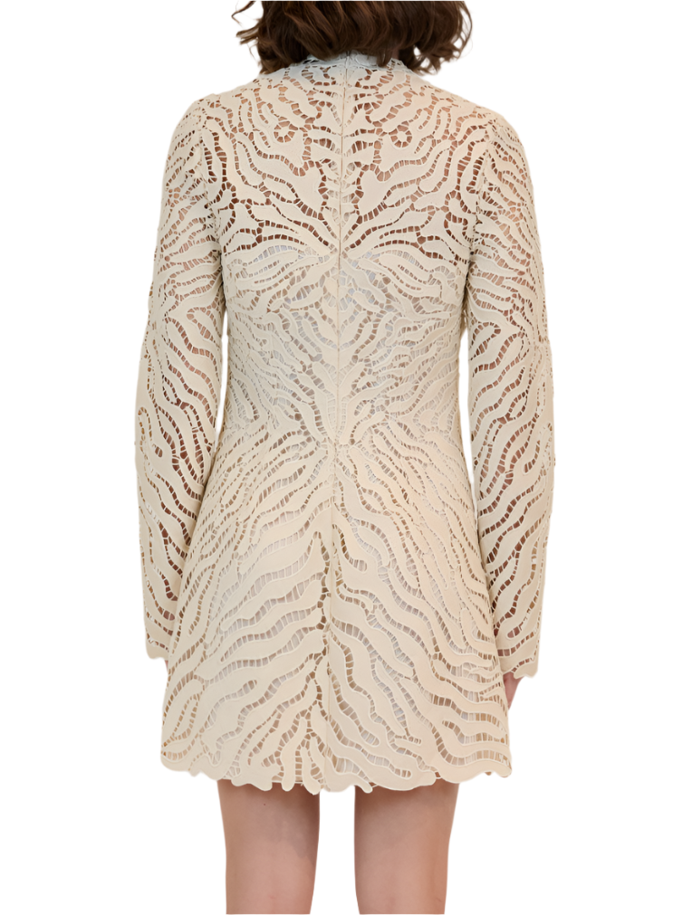 A person stands with their back to the camera wearing a Simkhai Charis Mini Dress in cream, featuring long sleeves and embroidered eyelet details in a wavy pattern.