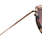 Close-up of the right arm and partial frame of Jimmy Fairly Angie Sunglasses, featuring a tortoiseshell-patterned acetate frame, gold-colored metal temple, and brown-tinted lens.