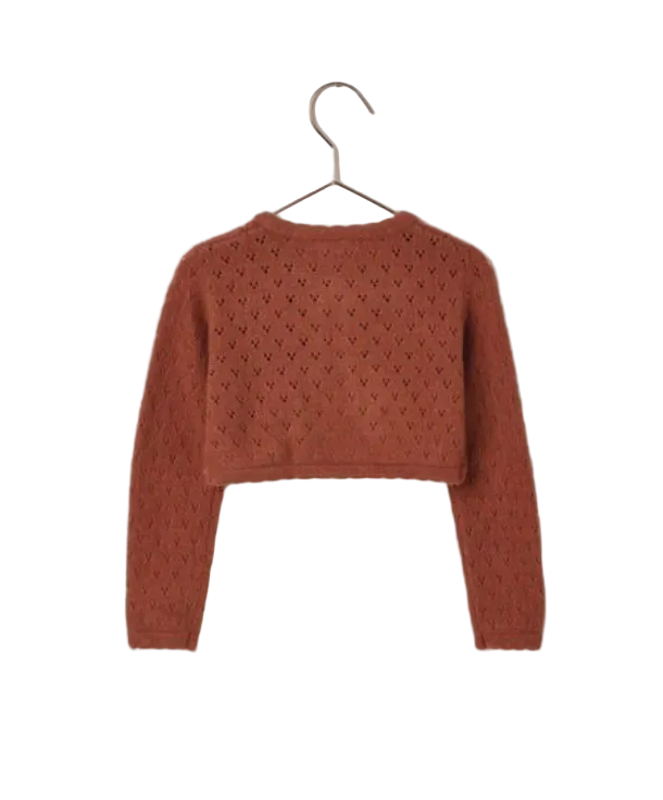 The Noralee Baby Girls' & Girls' Bolero Sweater, a rust-colored long-sleeve cropped design, is displayed on a hanger against a white background.