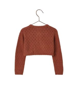 The Noralee Baby Girls' & Girls' Bolero Sweater, a rust-colored long-sleeve cropped design, is displayed on a hanger against a white background.