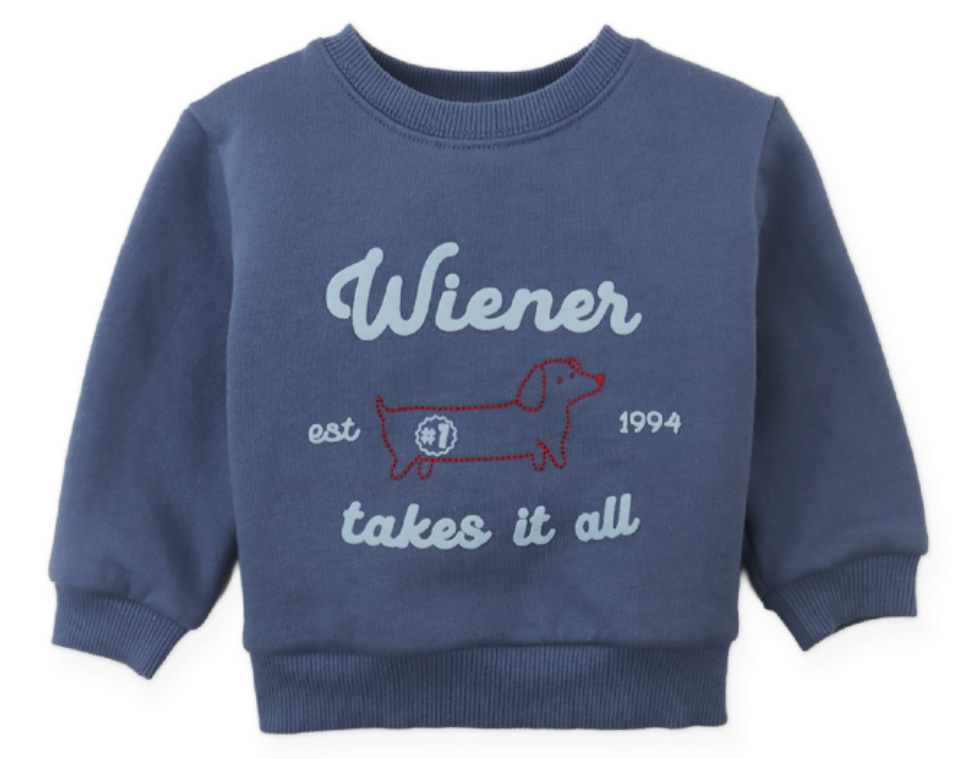 Gingersnaps Baby Boys’ Riccardo Pullover—a cozy blue fleece sweatshirt showcasing an embroidered dachshund outlined in red and “Wiener takes it all est 1994” on the front.