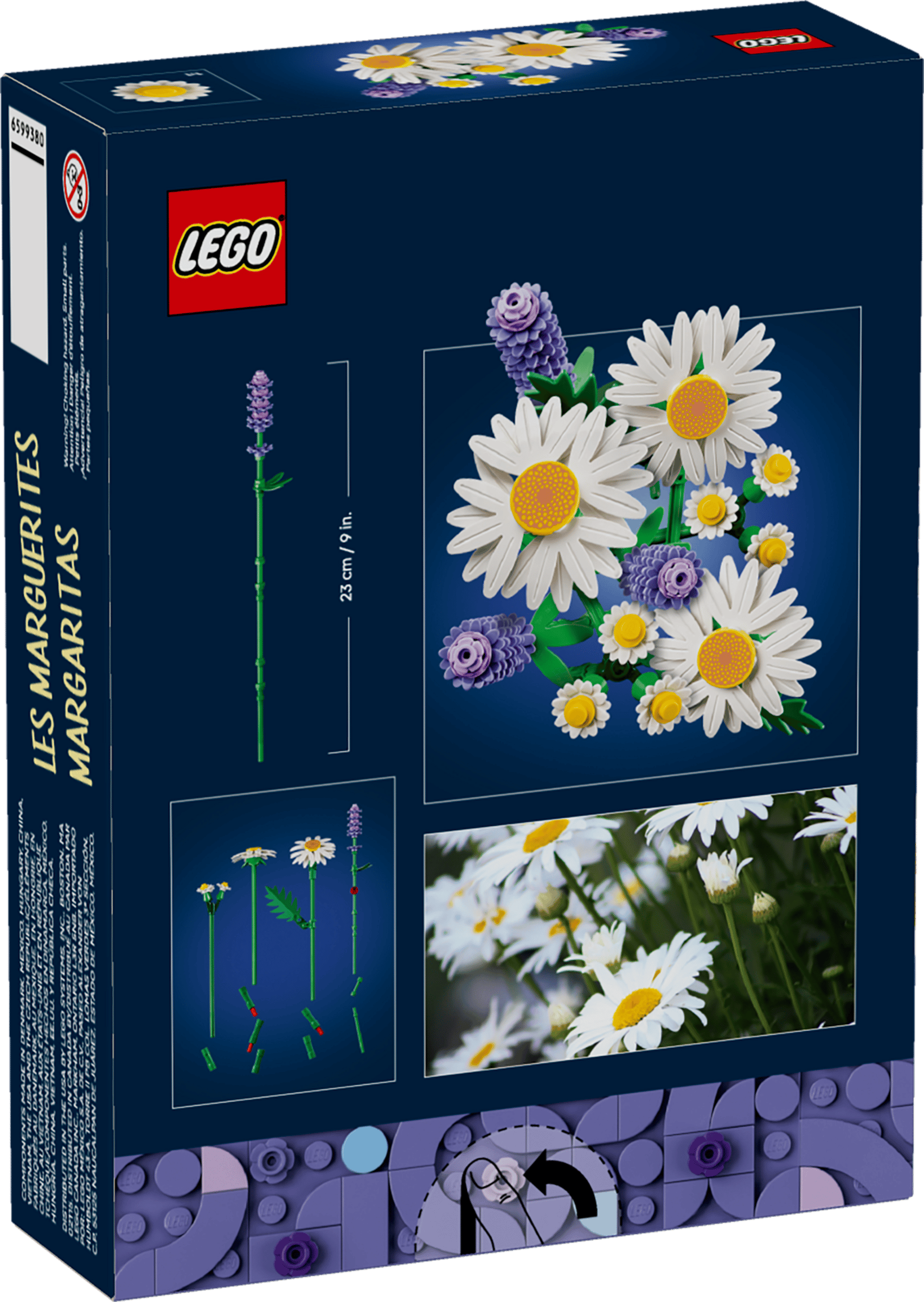 Legos - Toyhouse LEGO® Botanicals Daisies building set for kids, featuring assembled purple and white flowers beside real daisies on a dark blue background.