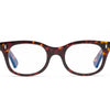 Bixby Readers - Turtle