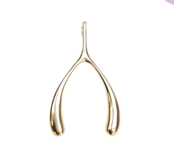 The Jane Win Pendant Necklace Collection features a gold wishbone charm against a white background, making it the perfect meaningful jewelry or milestone necklace.