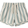 Baby Boys' and Boys' Swim Trunk - Green Stripe