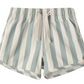 The Rylee & Cru Baby Boys' and Boys' Swim Trunk features light blue and white vertical stripes, an elastic waistband, a white drawstring, and a comfy mesh liner.