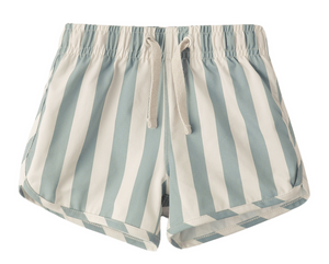 The Rylee & Cru Baby Boys' and Boys' Swim Trunk features light blue and white vertical stripes, an elastic waistband, a white drawstring, and a comfy mesh liner.