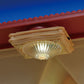 Bring a touch of elegance to your miniature space with the Calico Critters Ceiling Light—a close-up view shows its ornate design, featuring a decorative glass cover mounted on a red and beige ceiling with scalloped trim set against a blue background. This stylish accessory is the perfect addition to any dollhouse décor, adding charm and sophistication to your collection.