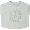Baby Girls' and Girls' Boxy Tee - Seashells