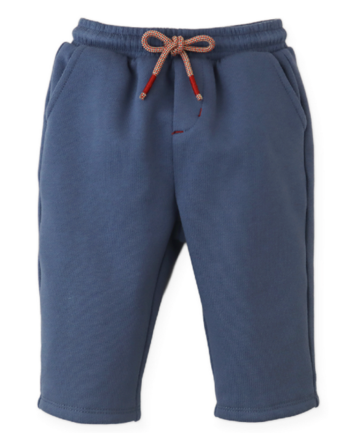 Introducing the Baby Boys’ Sonny Pant by Gingersnaps—a pair of blue knee-length shorts featuring an elastic waistband, practical side pockets, and a brown drawstring. Crafted from soft, comfortable fabric reminiscent of fleece joggers, these shorts are perfect for casual wear. An embroidered back pocket adds a playful touch, making them ideal for little ones’ everyday adventures.