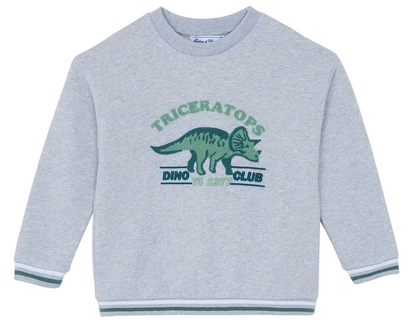 The Boys’ Heather Sweatshirt by Tartine et Chocolat is a gray cotton kids’ sweatshirt featuring green “Triceratops Dino Club” text and a triceratops graphic on the front, finished with striped cuffs and hem—perfect for any little dinosaur sweatshirt fan.