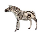 A life-size Zebra Life Size plush by Hansa, featuring black and white stripes, stands on a white background and captures the brand’s striking realism.