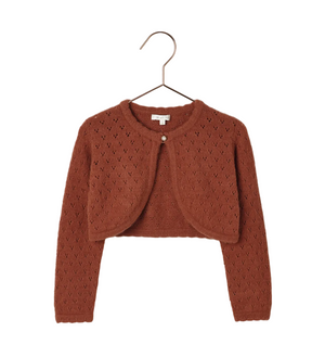 The Noralee Baby Girls' & Girls' Bolero Sweater in rust features a heart pointelle knit, long sleeves, a cropped fit, and a single button closure at the neckline. Displayed on a hanger.