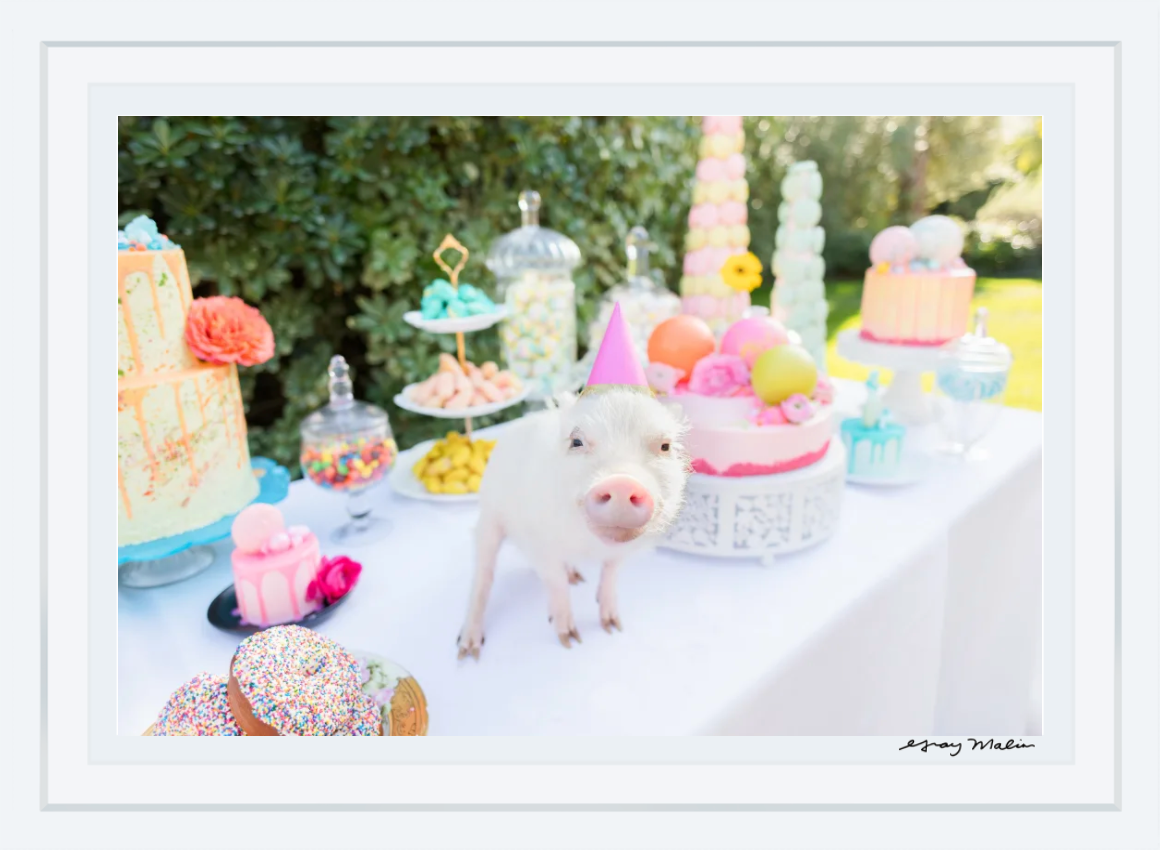 A piglet wearing a pink party hat stands on a table decorated with colorful cakes and sweets at a whimsical outdoor picnic, reminiscent of the Gray Malin Picnic Party II with its 29.5" x 41.5" white frame.